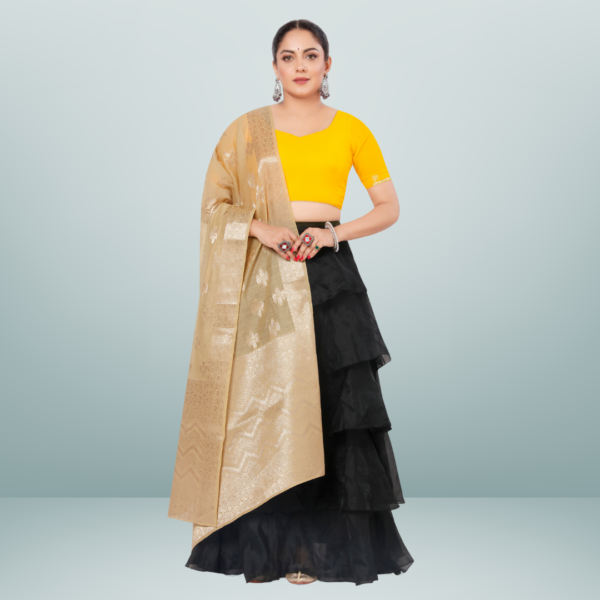 Chanderi Jacquard Dupatta With Rich Border