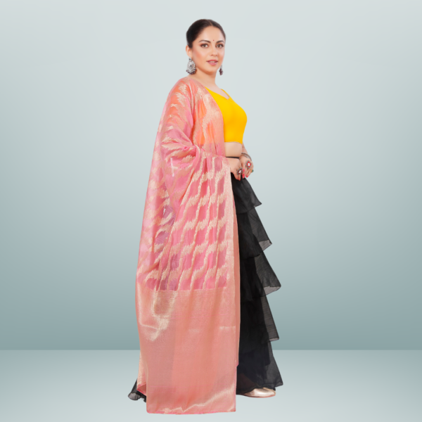 Chanderi Dupatta With Kasab Zari