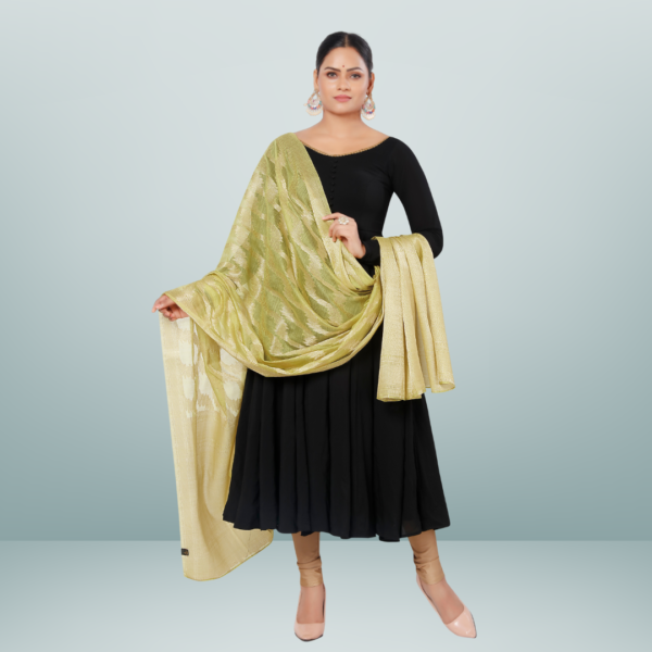 Chanderi Dupatta With Kasab Zari