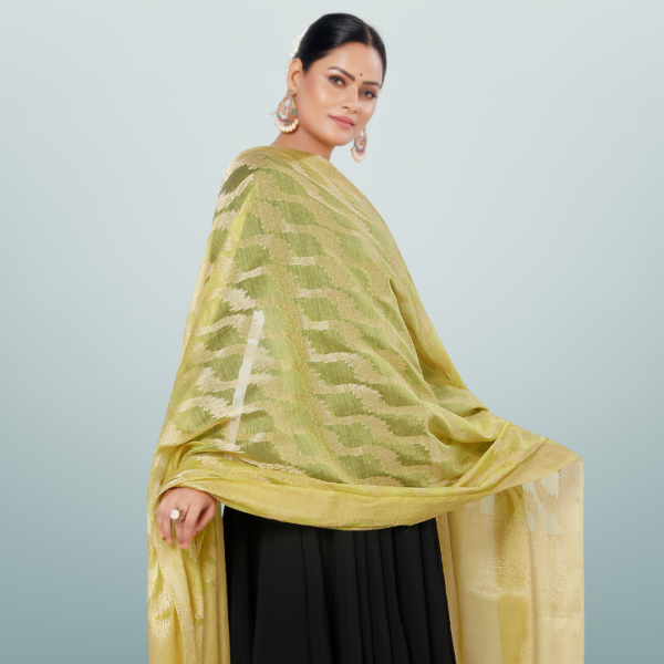 Chanderi Dupatta With Kasab Zari - Image 2