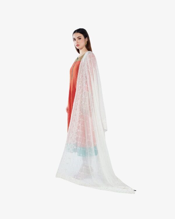 Pure Georgette Dyeable Rich Dupatta - Image 4