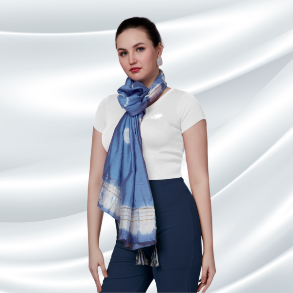 Blue Tye-Dye Chanderi Dupatta With Zari Tassels - Image 3