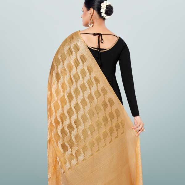 Chanderi Dupatta With Kasab Zari - Image 2