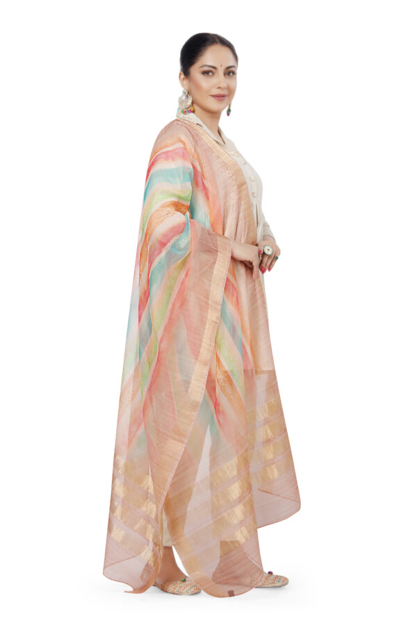 Organza Geometric Print Beige Dupatta - Image 2