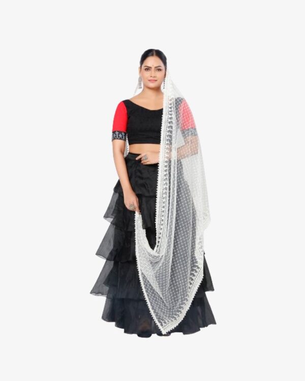 Net Dyeable Dupatta With Geometric Embroidery