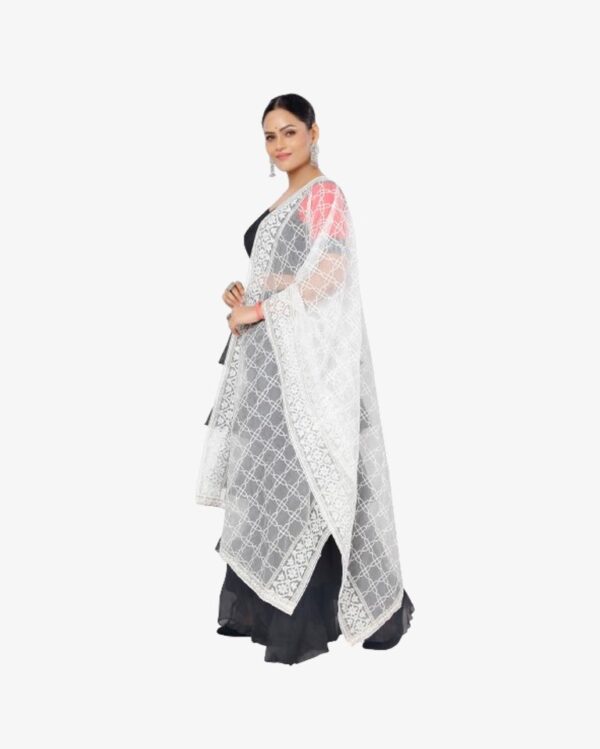 Organza Dyeable Dupatta With Sequins Embroidery - Image 3