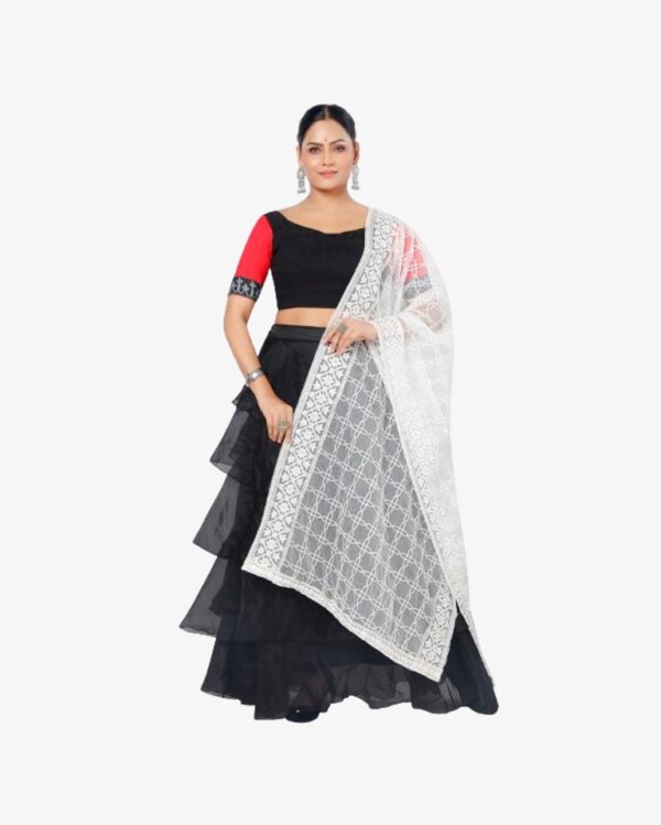 Organza Dyeable Dupatta With Sequins Embroidery