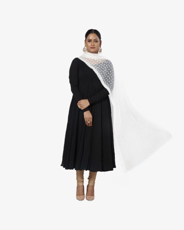 Net Dyeable Dupatta With Tropical Embroidery
