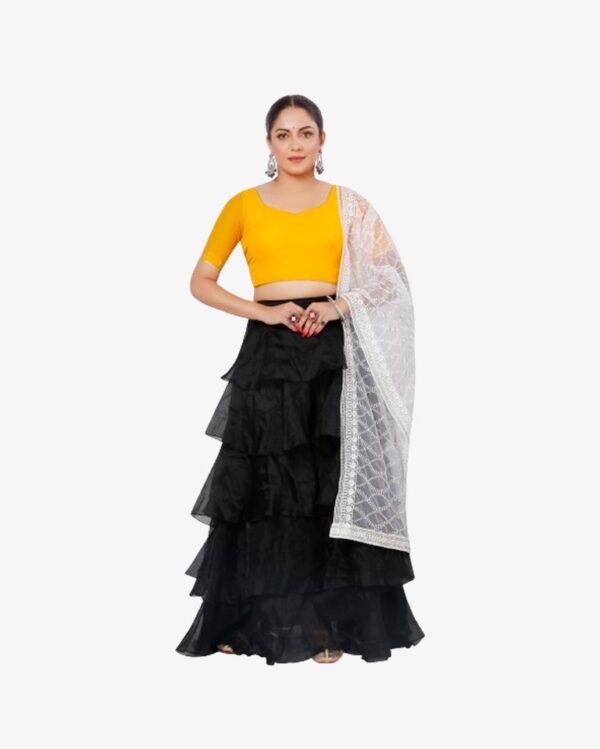 Organza Dyeable Dupatta With Sequins Embroidery