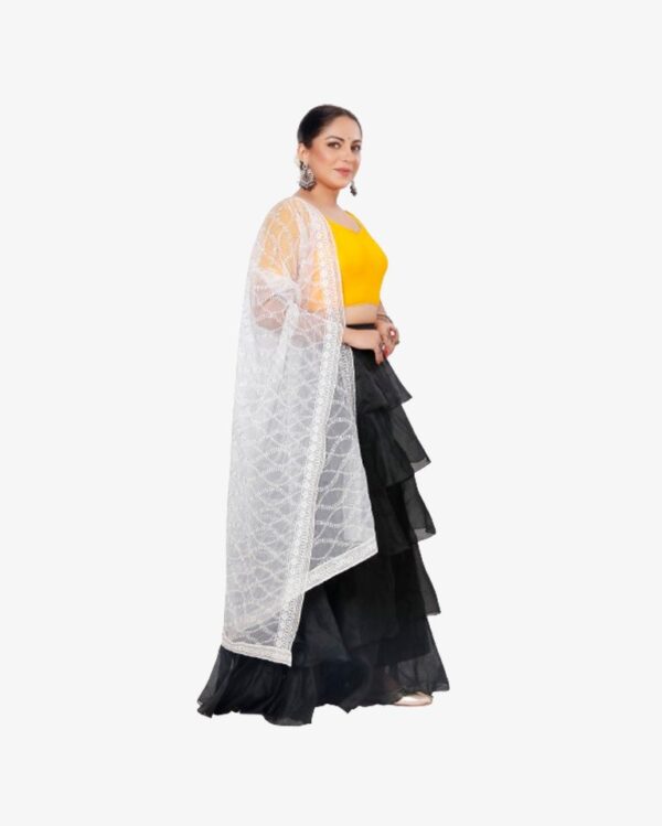 Organza Dyeable Dupatta With Sequins Embroidery - Image 3
