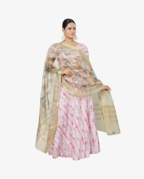 Organza Geometric Print Beige Dupatta