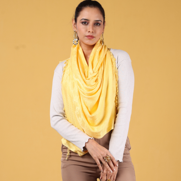 Viscose Plain Multi Jacquard Stole