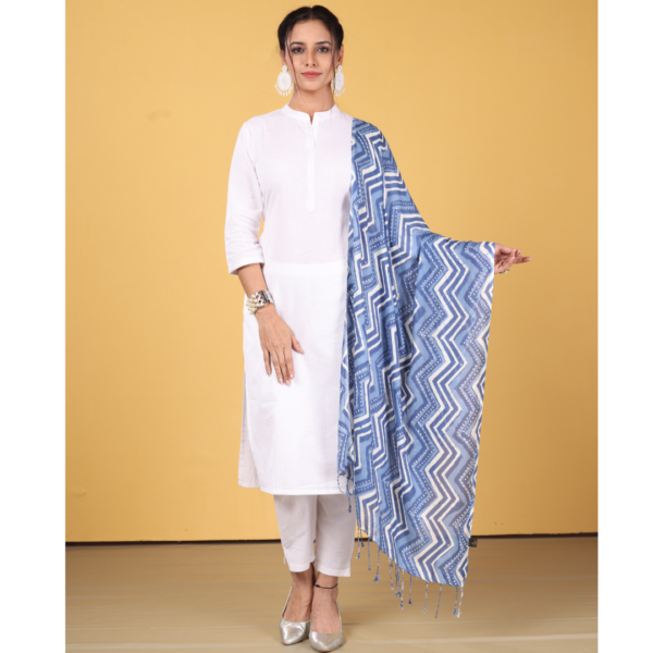 Liva Eco Viscose Indigo Printed Stole