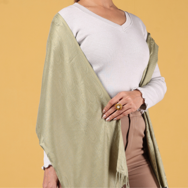 Viscose Plain Multi Jacquard Stole - Image 3