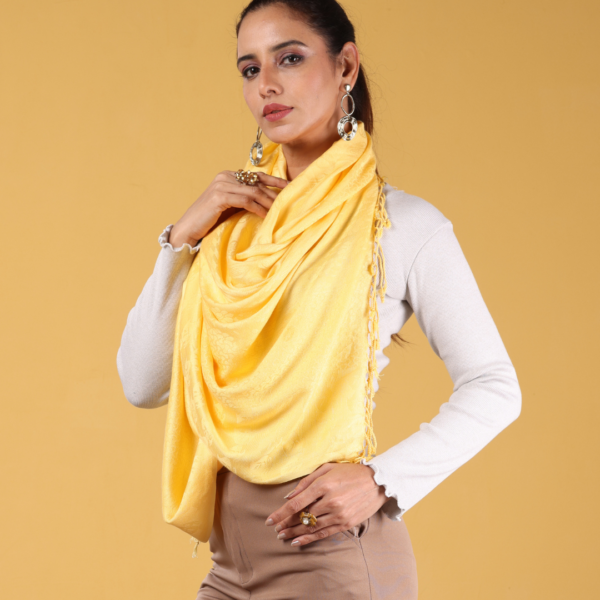Viscose Plain Multi Jacquard Stole - Image 2