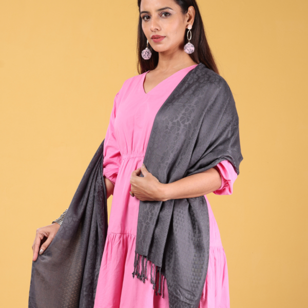 Viscose Plain Multi Jacquard Stole - Image 3
