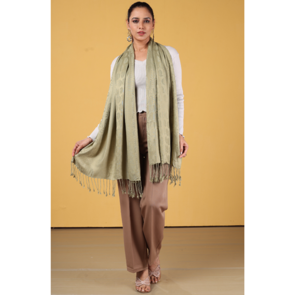 Viscose Plain Multi Jacquard Stole - Image 4
