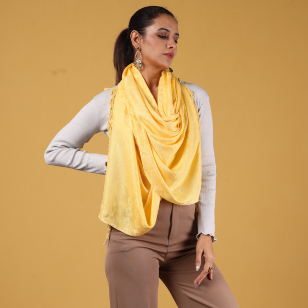 Viscose Plain Multi Jacquard Stole - Image 3