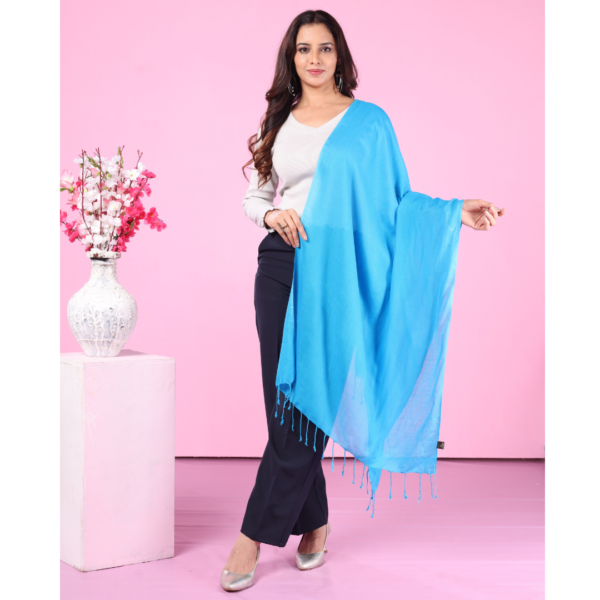 Plain Liva Eco Viscose Rayon Stole - Image 3