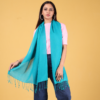 Plain Liva Eco Viscose Rayon Stole - Image 2