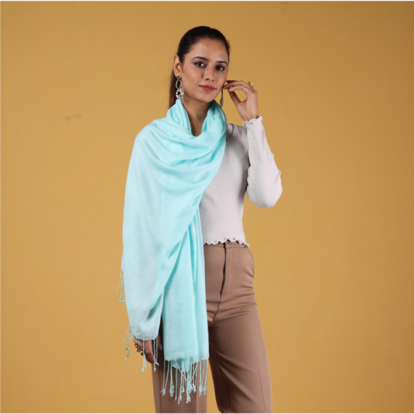 Plain Liva Eco Viscose Rayon Stole
