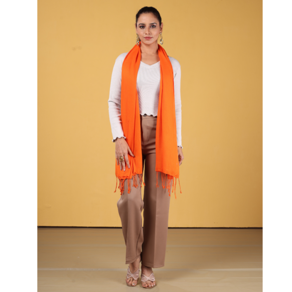 Plain Liva Eco Viscose Rayon Stole - Image 3