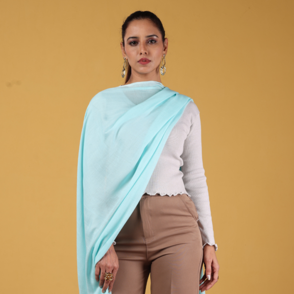 Plain Liva Eco Viscose Rayon Stole - Image 3