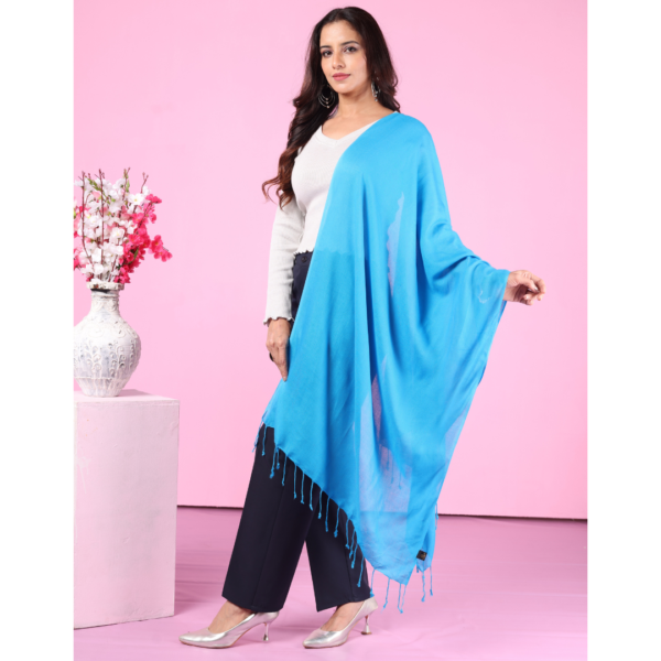 Plain Liva Eco Viscose Rayon Stole - Image 4